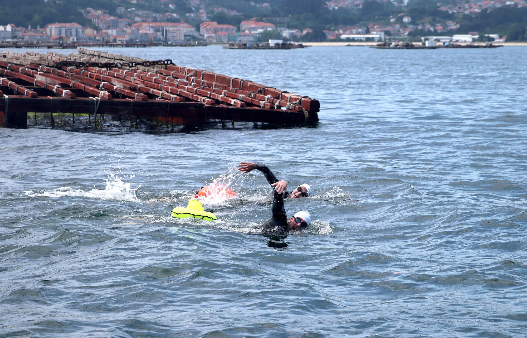 Una batea de mejillón ocupa medio encuadre y un nadador pasa a crol por delante, con la orilla urbanizada de la ría al fondo