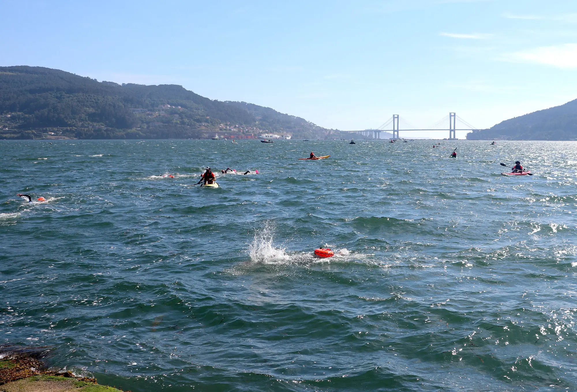Nadadores y kayaks en mitad de la ría, con el puente de Rande pequeño al fondo, entre los montes de las dos orillas